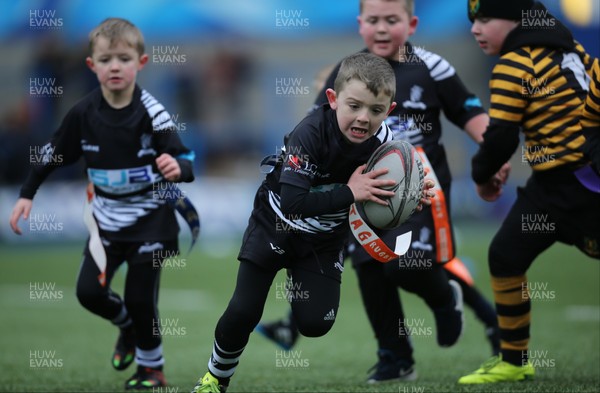 120217 - Cardiff Blues Tag Rugby Festival