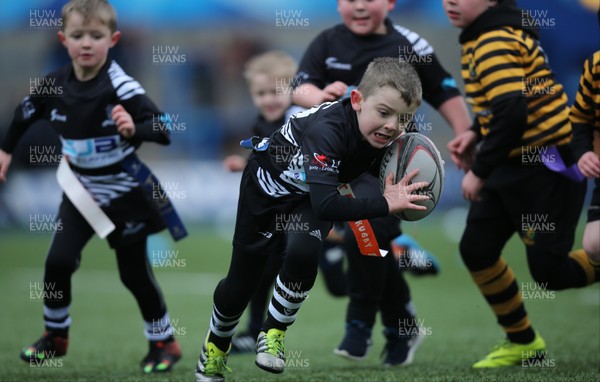 120217 - Cardiff Blues Tag Rugby Festival