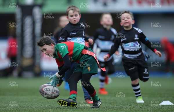 120217 - Cardiff Blues Tag Rugby Festival