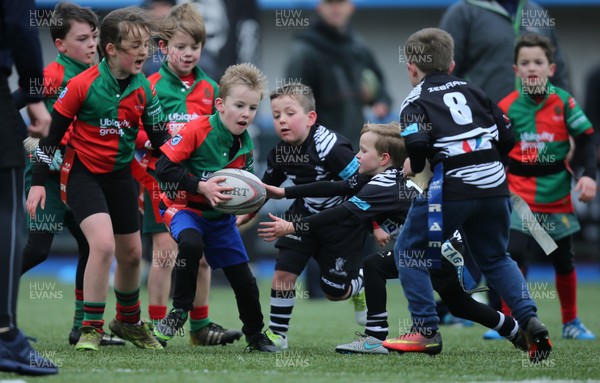 120217 - Cardiff Blues Tag Rugby Festival