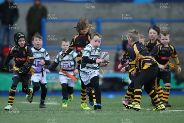 120217 - Cardiff Blues Tag Rugby Festival