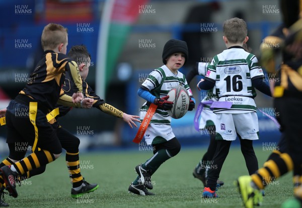 120217 - Cardiff Blues Tag Rugby Festival