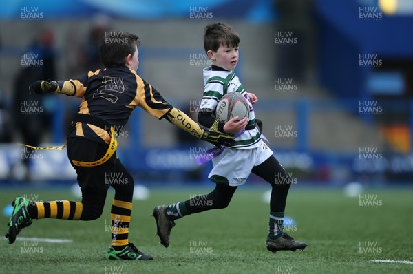 120217 - Cardiff Blues Tag Rugby Festival