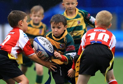 Cardiff Blues Under 8s Tag Festival 230815