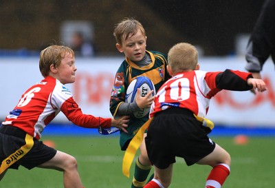 230815 - Cardiff Blues Under 8s Tag Festival - Beddau take on Brecon in semi Final one