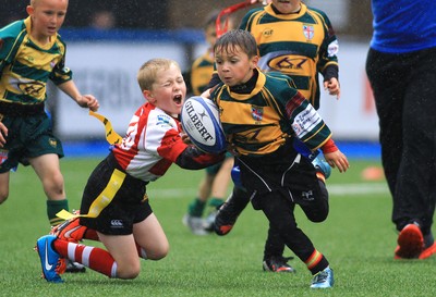 230815 - Cardiff Blues Under 8s Tag Festival - Beddau take on Brecon in semi Final one