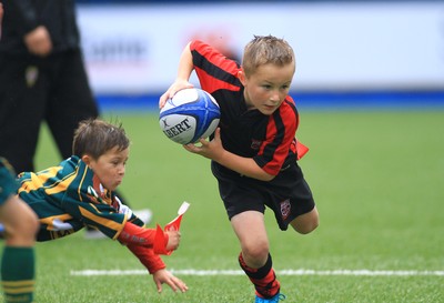 230815 - Cardiff Blues Under 8s Tag Festival - Abercynon take on Beddau in the Final