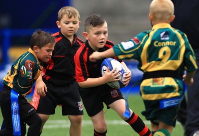 230815 - Cardiff Blues Under 8s Tag Festival - Abercynon take on Beddau in the Final