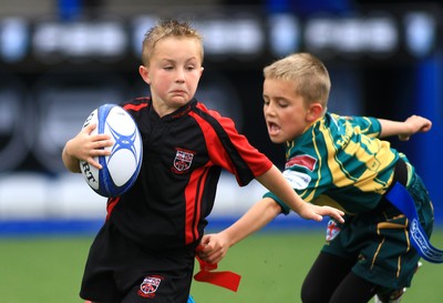 230815 - Cardiff Blues Under 8s Tag Festival - Abercynon take on Beddau in the Final