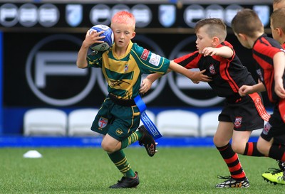 230815 - Cardiff Blues Under 8s Tag Festival - Abercynon take on Beddau in the Final