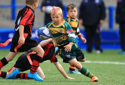 230815 - Cardiff Blues Under 8s Tag Festival - Abercynon take on Beddau in the Final