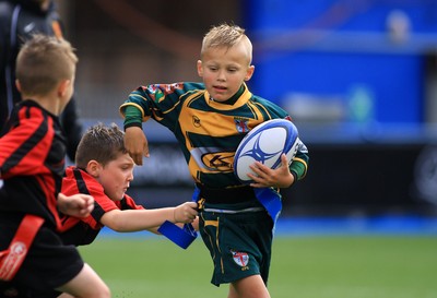 230815 - Cardiff Blues Under 8s Tag Festival - Abercynon take on Beddau in the Final