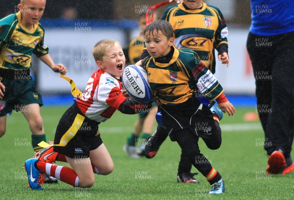 230815 - Cardiff Blues Under 8s Tag Festival - Beddau take on Brecon in semi Final one