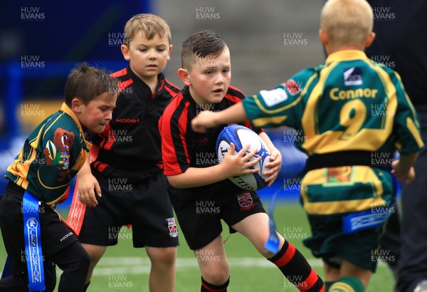 230815 - Cardiff Blues Under 8s Tag Festival - Abercynon take on Beddau in the Final