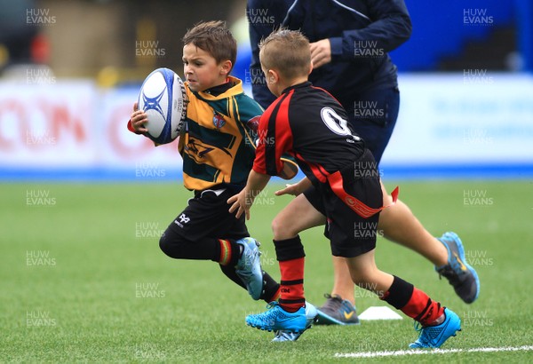 230815 - Cardiff Blues Under 8s Tag Festival - Abercynon take on Beddau in the Final