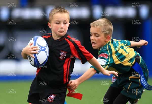 230815 - Cardiff Blues Under 8s Tag Festival - Abercynon take on Beddau in the Final