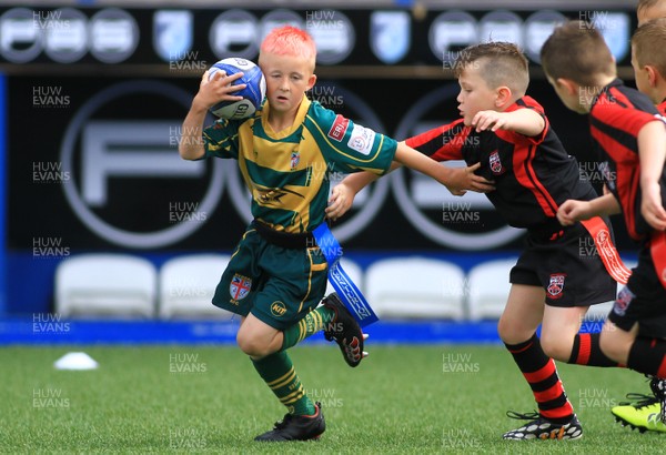 230815 - Cardiff Blues Under 8s Tag Festival - Abercynon take on Beddau in the Final