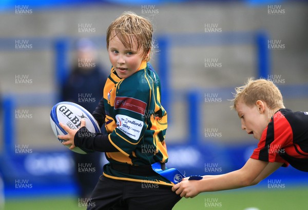 230815 - Cardiff Blues Under 8s Tag Festival - Abercynon take on Beddau in the Final