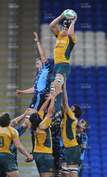 24.11.09 - Cardiff Blues v Australia - Australia's Dean Mumm beats Cardiff Blues' Deiniol Jones to lineout ball. 