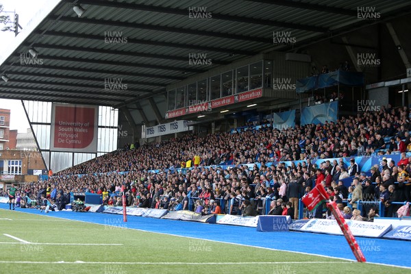 200816 - Cardiff Blues v Bristol Rugby - Pre Season Friendly - Cardiff Arms Park South Stand