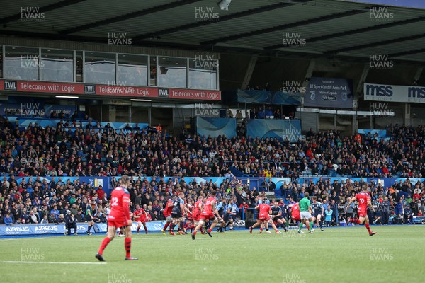 200816 - Cardiff Blues v Bristol Rugby - Pre Season Friendly - Cardiff Arms Park South Stand