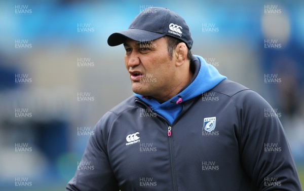 010315 - Cardiff Blues v Edinburgh Rugby, Guinness PRO12 -Cardiff Blues coach Dale McIntosh who along with fellow coach Paul John, has been put in charge of the region after the departure of Cardiff Blues Director of Rugby Mark Hammett