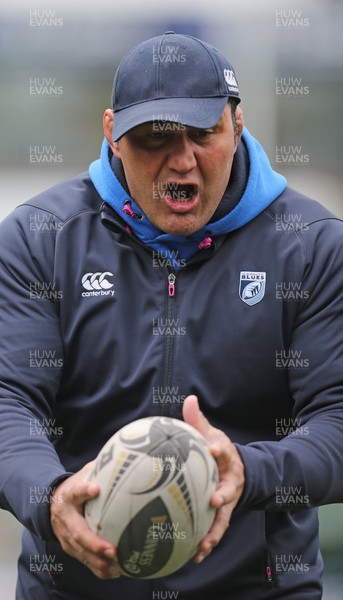 010315 - Cardiff Blues v Edinburgh Rugby, Guinness PRO12 -Cardiff Blues coach Dale McIntosh who along with fellow coach Paul John, has been put in charge of the region after the departure of Cardiff Blues Director of Rugby Mark Hammett