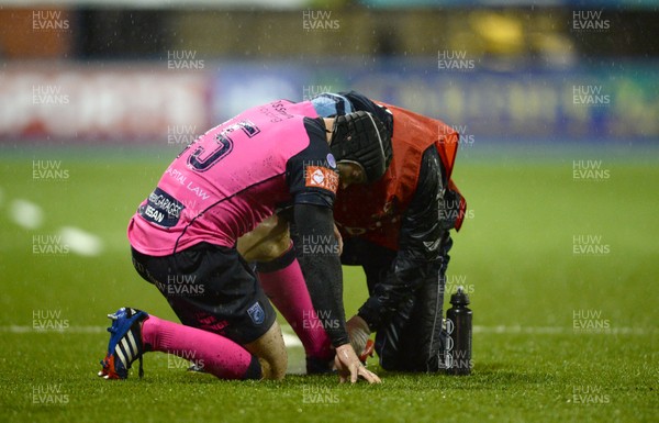 180114 - Cardiff Blues v Exeter - Heineken Cup -Leigh Halfpenny of Cardiff Blues is treated on the pitch