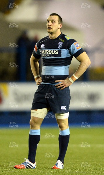 150214 - Cardiff Blues v Glasgow - RaboDirect PRO12 -Sam Warburton of Cardiff Blues