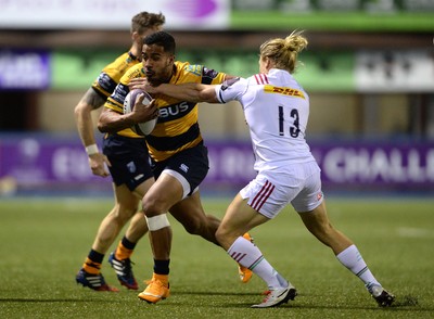 Cardiff Blues v Harlequins 191115