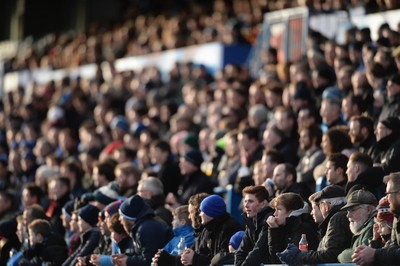 100115 - Cardiff Blues v Leinster - Guinness PRO12 -Cardiff Arms Park Fans