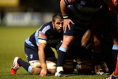 011114 - Cardiff Blues v Munster - Guiness PRO12 -Josh Turnbull of Cardiff Blues