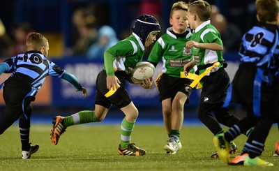 011114 - Cardiff Blues v Munster - Guiness PRO12 -