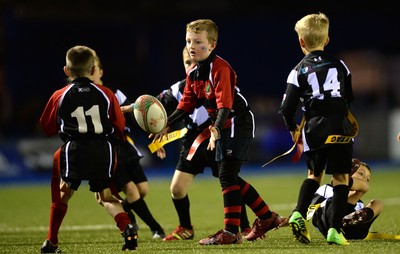 011114 - Cardiff Blues v Munster - Guiness PRO12 -