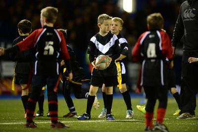 011114 - Cardiff Blues v Munster - Guiness PRO12 -