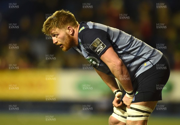 170218 - Cardiff Blues v Munster - Guinness PRO14 - Macauley Cook of Cardiff Blues