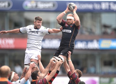 Cardiff Blues v Newport Gwent Dragons 170416