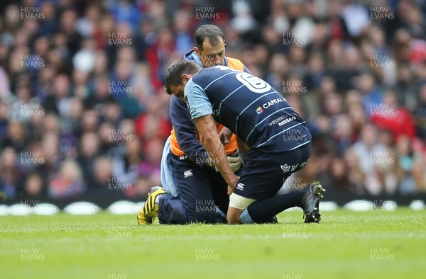 300416 - Cardiff Blues v Ospreys, Judgement Day IV, Guinness PRO12 - Sam Warburton of Cardiff Blues receives treatment after picking up a knock