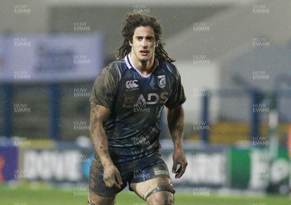 190113 Cardiff Blues v Sale Sharks - Heineken Cup -Blues' Josh Navidi