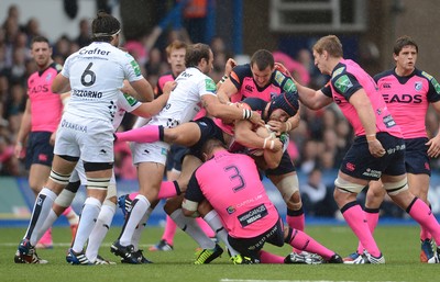 Cardiff Blues v Toulon 191013