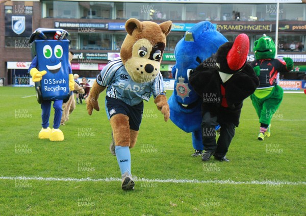 220912 Cardiff Blues v Treviso - RaboDirect PRO 12 -Blues' mascot race 