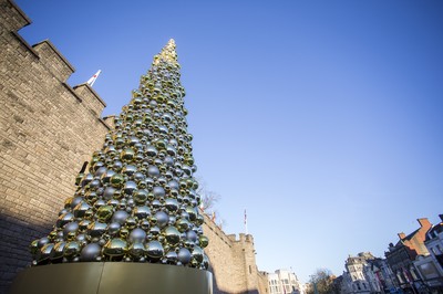 Cardiff Christmas Tree 281116