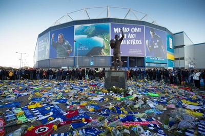 Cardiff City v AFC Bournemouth 020219