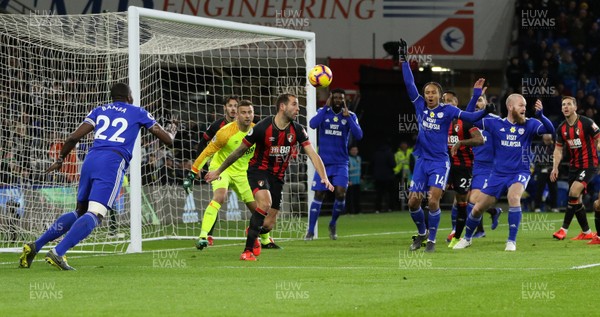 020219 - Cardiff City v AFC Bournemouth, Premier League - Cardiff players appeal for a penalty for hand ball