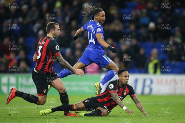 020219 - Cardiff City v AFC Bournemouth, Premier League - Bobby Decordova-Reid of Cardiff City shoots to score the second goal