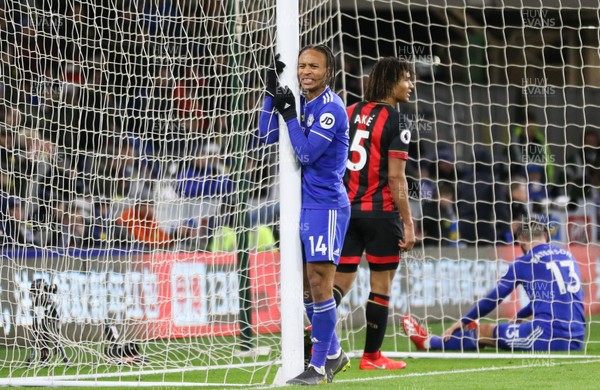 020219 - Cardiff City v AFC Bournemouth, Premier League - Bobby Decordova-Reid of Cardiff City rues a missed opportunity to score