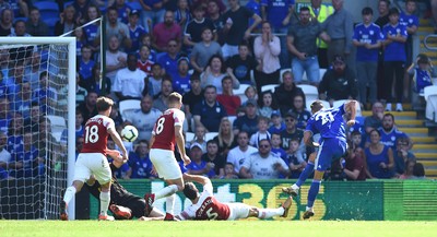 020918 - Cardiff City v Arsenal - Premier League - Victor Camarasa (21) of Cardiff City scores goal