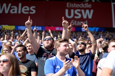 020918 - Cardiff City v Arsenal - Premier League - Cardiff City fans celebrate their sides first goal in the Premier League