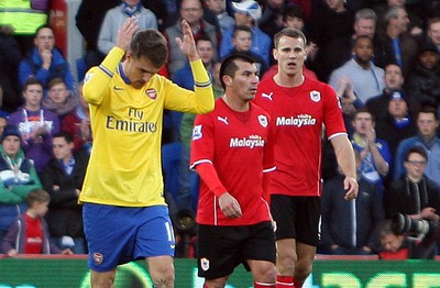 Cardiff City v Arsenal 301113