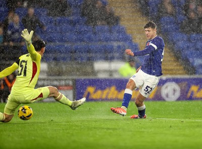 111125 - Cardiff City v Arsenal U21 - Vertu Trophy - Troy Perrett of Cardiff City scores a goal